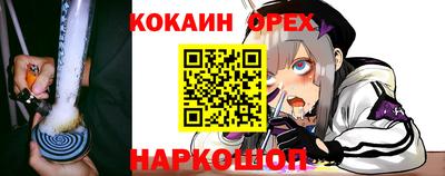 наркотики Гусев