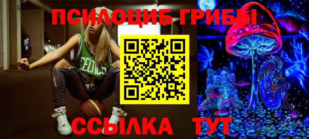 Михайловка  Псилоцибиновые грибы Magic Shrooms  Вход с VPN 